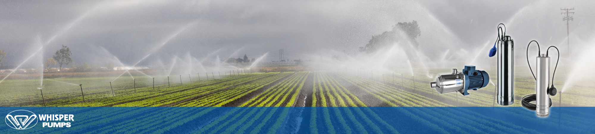 Flood, Pressurised, Drip or Sprinkle: What Type of Irrigation Pump Do You Need? 