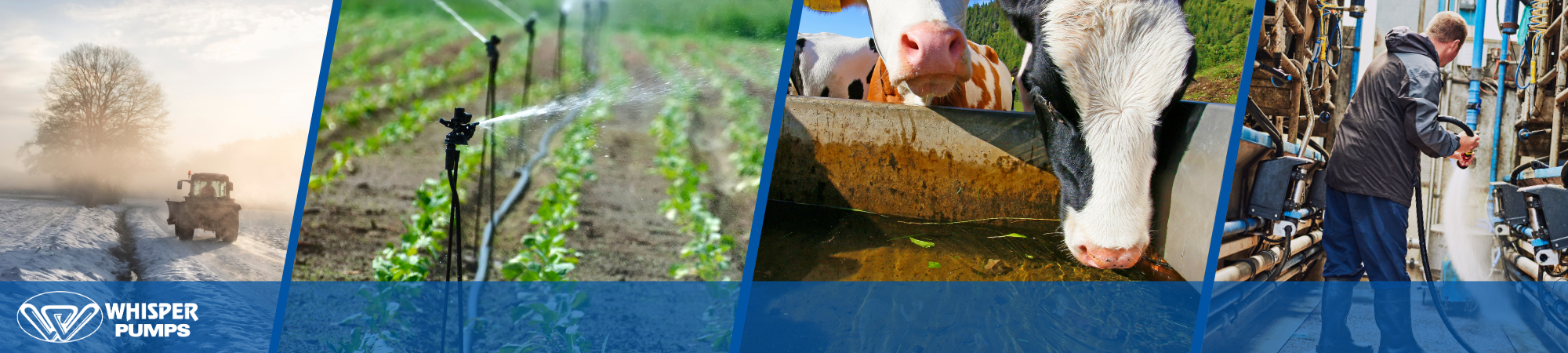 From Seed to Harvest: Water Pumps Work on the Farm All Year Round 