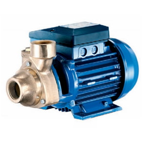 Peripheral Turbine Pumps category image