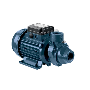 Ebara PRA Peripheral Pumps