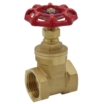 Gate Valve