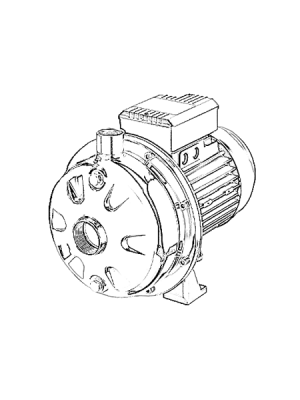 Ebara CDX Pump Parts