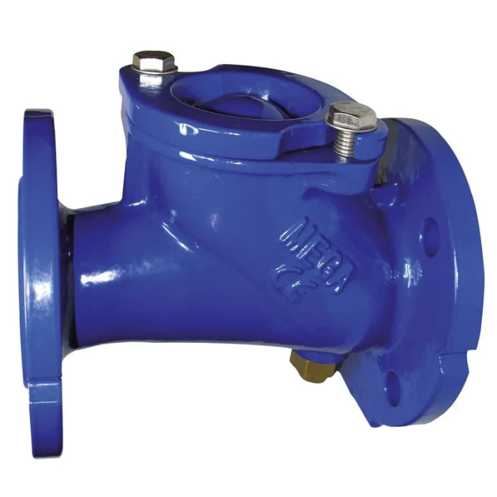 Ball Check Valve With Lifting Device