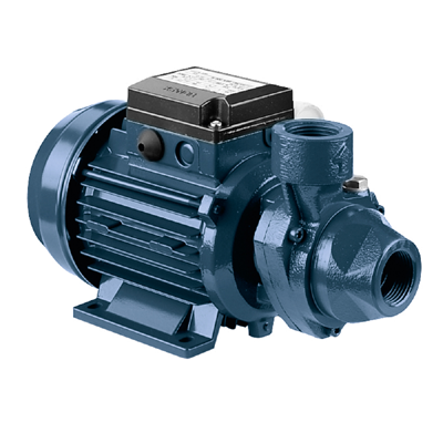 Ebara PRA Peripheral Electric Pumps