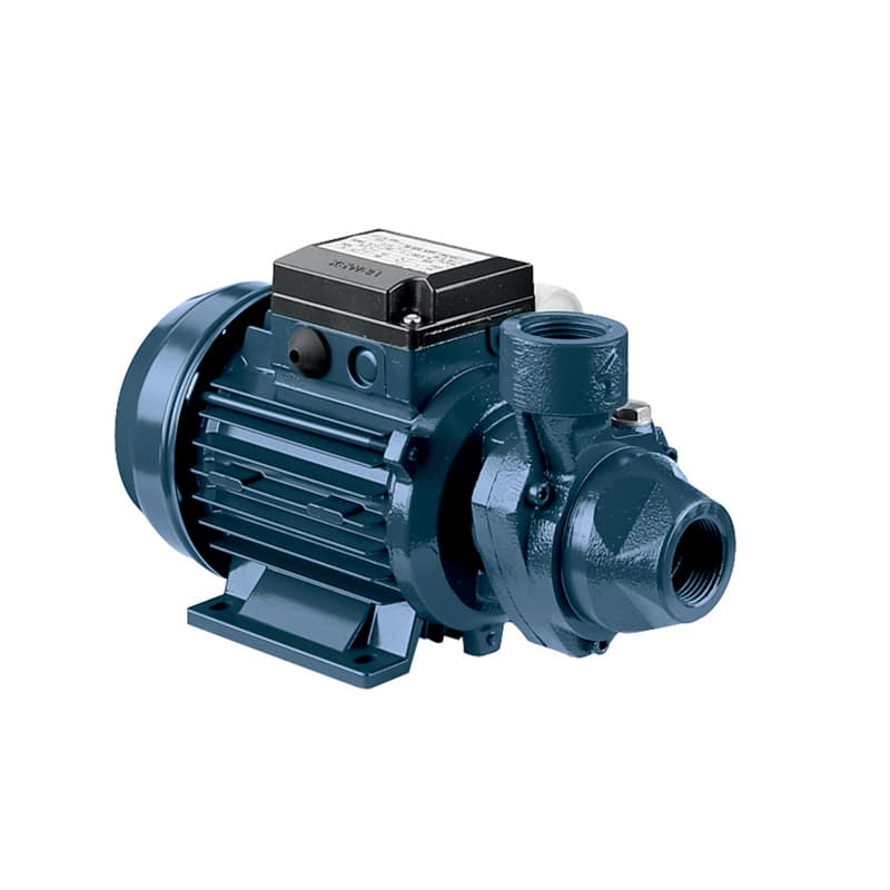 Ebara PRA Peripheral Electric Pumps