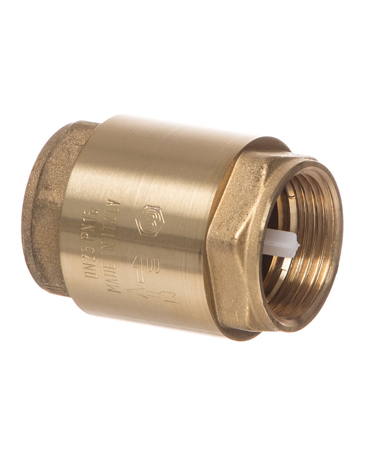Non Return Valves Female X Female BSP Thread
