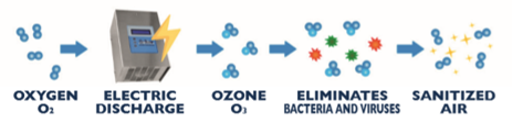 OZ BLOW Diagram